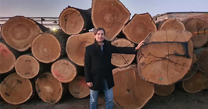 欧洲木材资源稀缺，金钢铂林从来不缺高品质进口地板给消费者